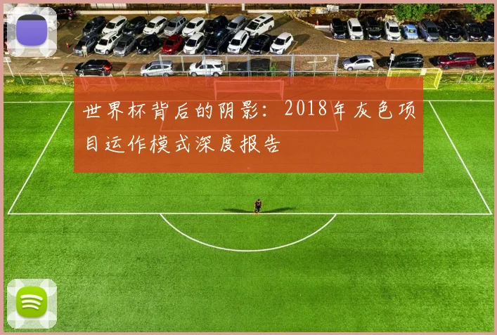 世界杯背后的阴影：2018年灰色项目运作模式深度报告