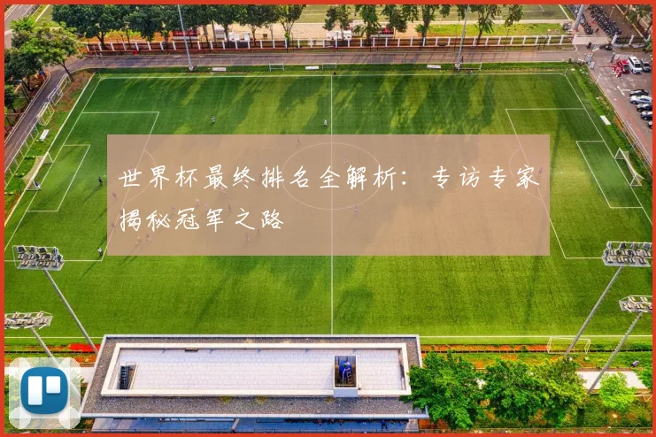 世界杯最终排名全解析：专访专家揭秘冠军之路